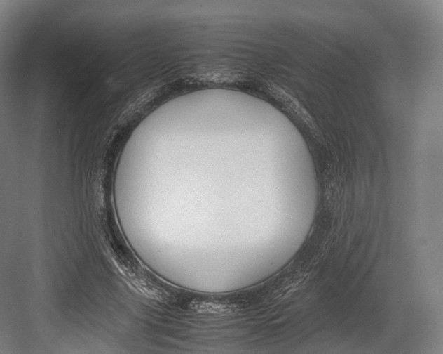 X0000082690635200702161725