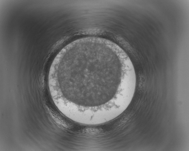 X0000082690636200702161725