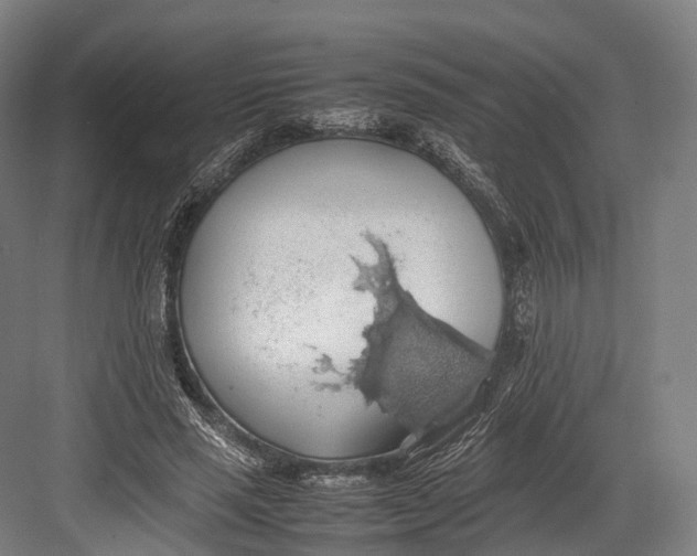 X0000082690637200702161725