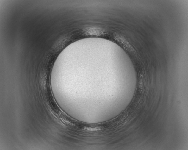 X0000082690639200702161725