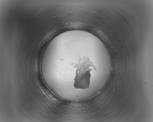 X0000082690640200702161725