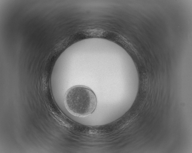 X0000082690641200702161725