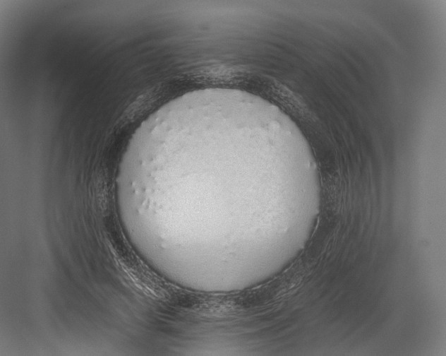 X0000082690642200702161725