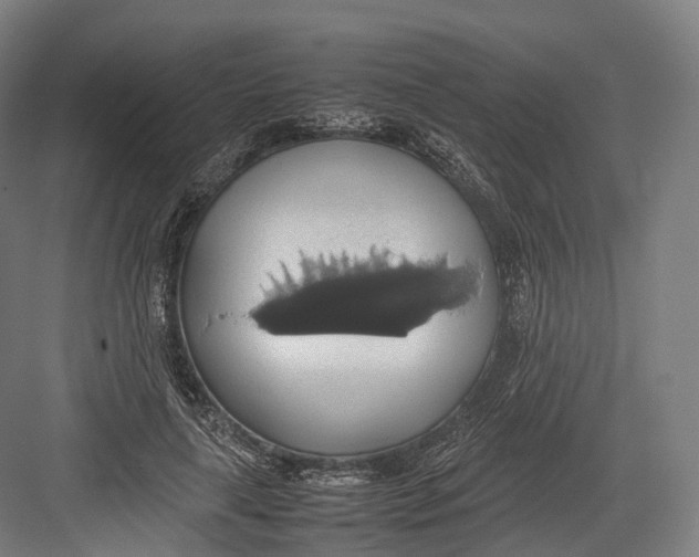 X0000082690643200702161725