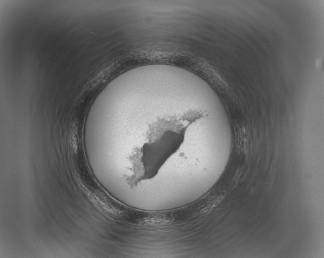 X0000082690644200702161725