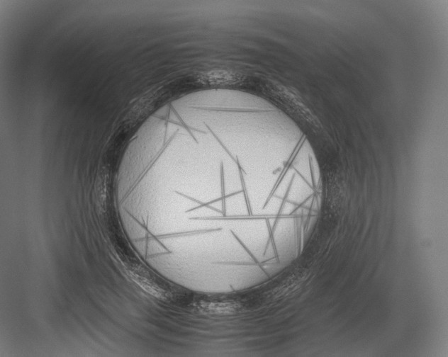 X0000082690645200702161725