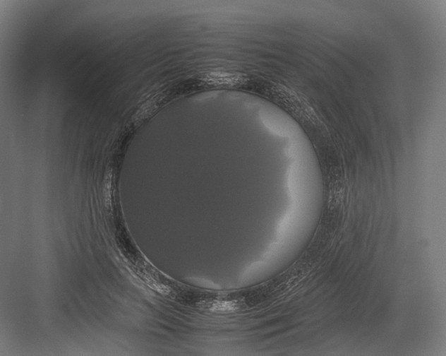 X0000082690647200702161725