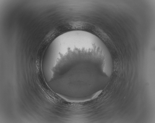 X0000082690648200702161725