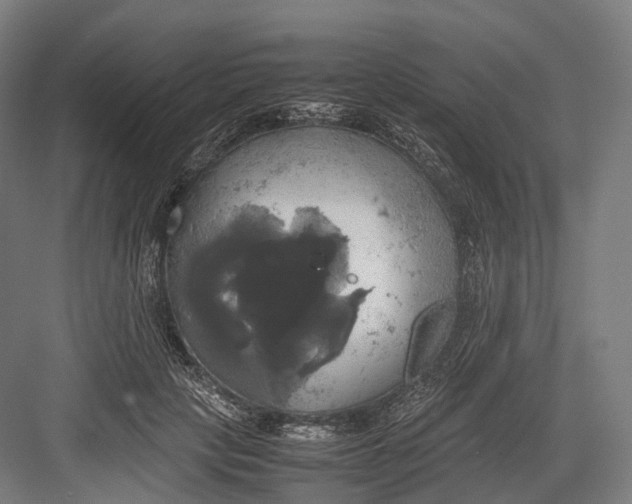 X0000082690649200702161725