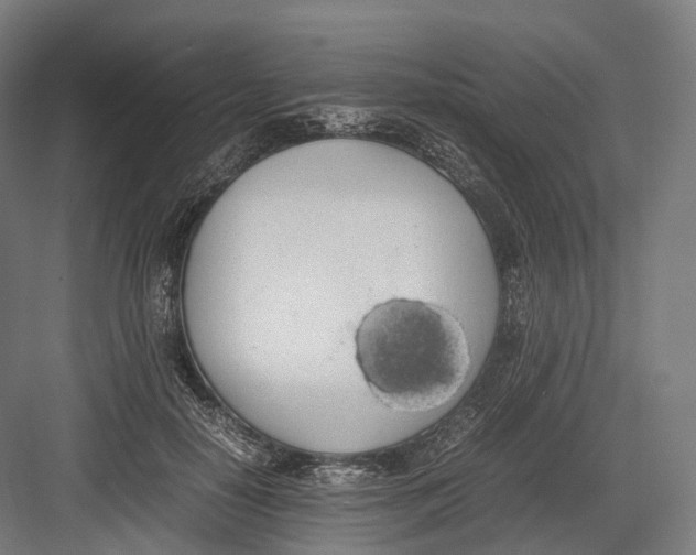 X0000082690650200702161725