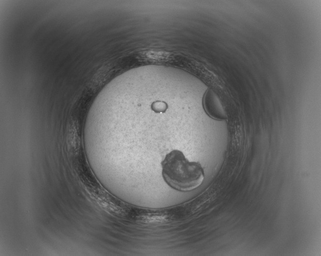 X0000082690651200702161725