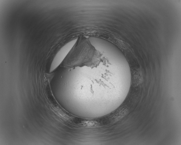 X0000082690654200702161725