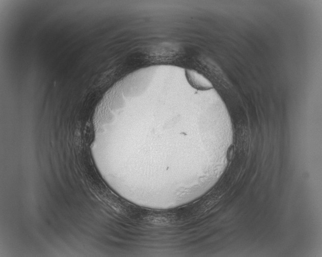 X0000082690655200702161725