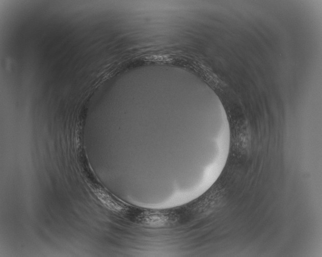 X0000082690658200702161725