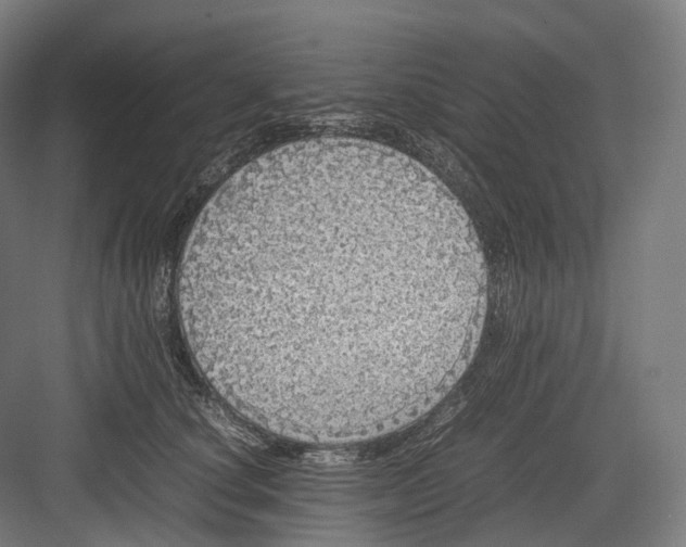 X0000082690660200702161725