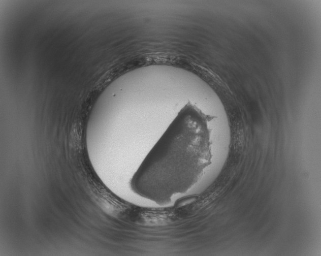 X0000082690661200702161725