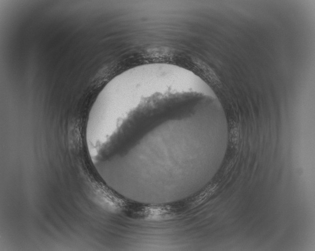 X0000082690662200702161725