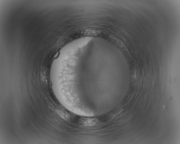 X0000082690663200702161725