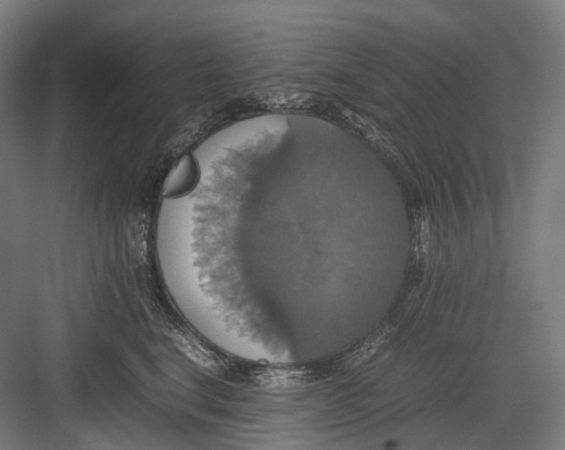 X0000082690664200702161725