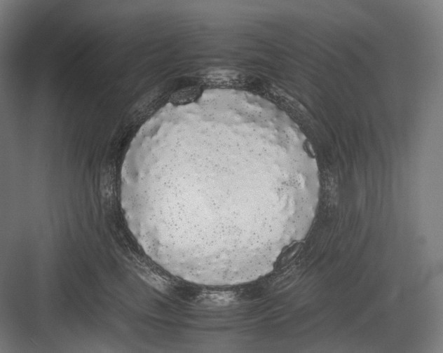 X0000082690665200702161725