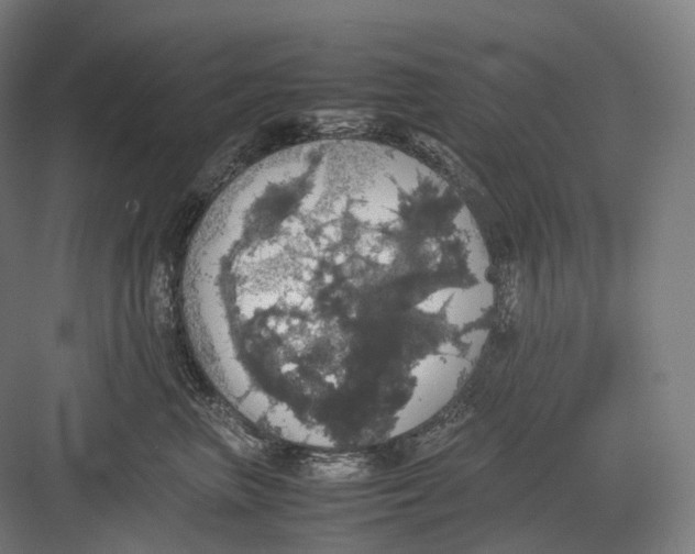 X0000082690667200702161725