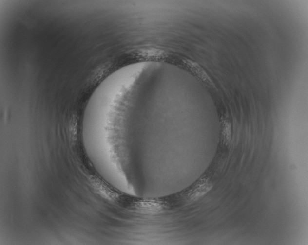 X0000082690668200702161725