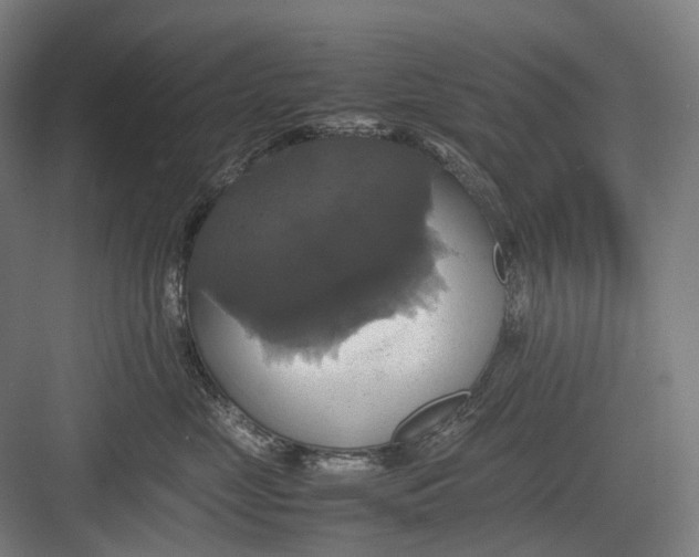 X0000082690669200702161725