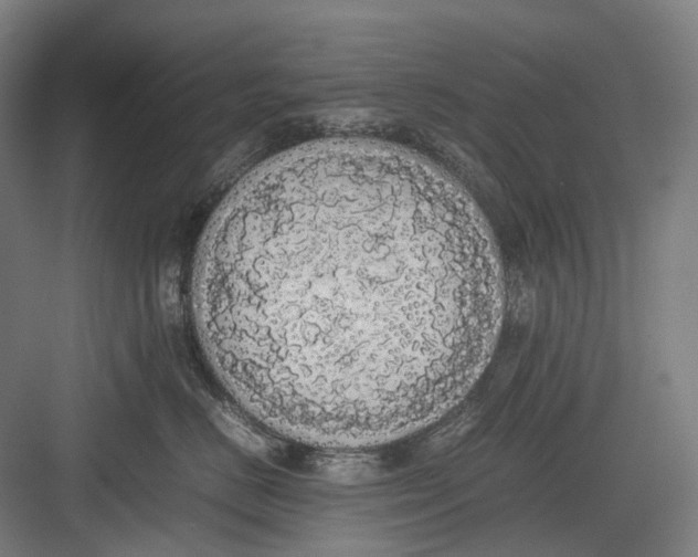 X0000082690670200702161725