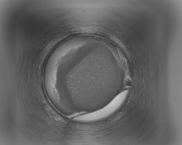 X0000082690673200702161725