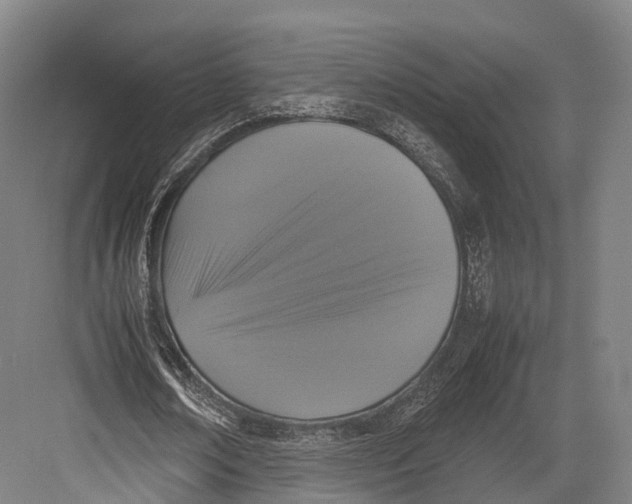 X0000082690674200702161725