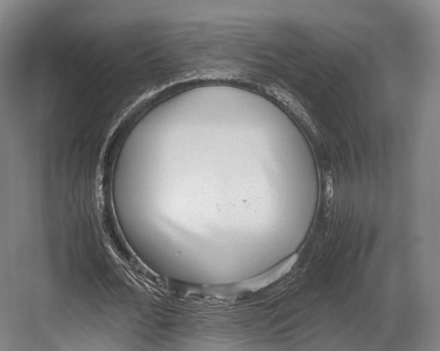 X0000082690676200702161725