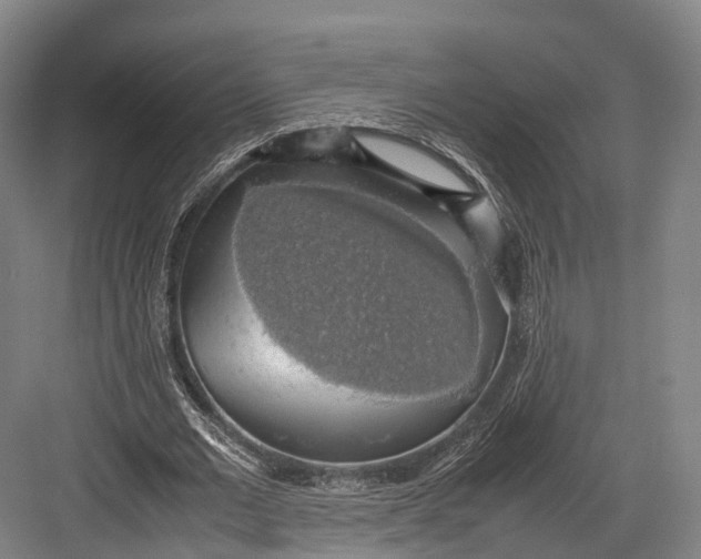 X0000082690677200702161725