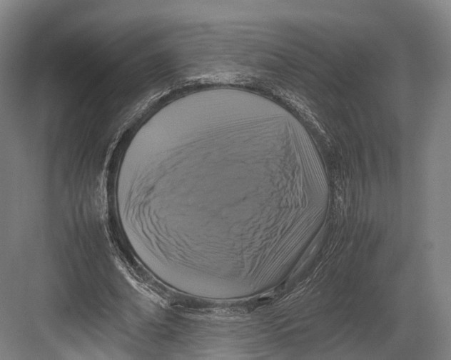 X0000082690678200702161725