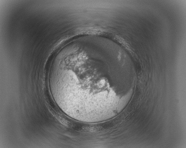 X0000082690679200702161725