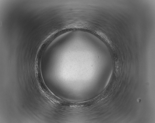 X0000082690680200702161725