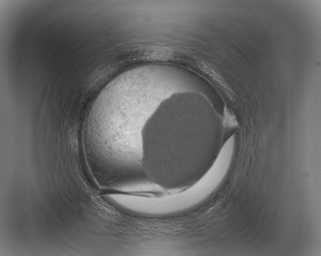 X0000082690681200702161724