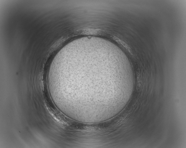 X0000082690682200702161724