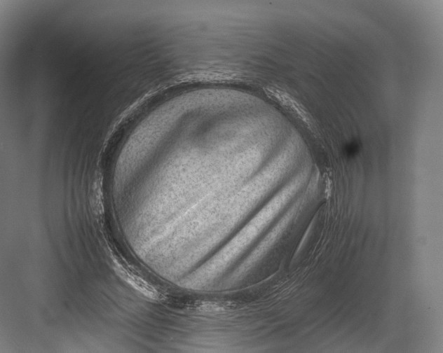 X0000082690684200702161724