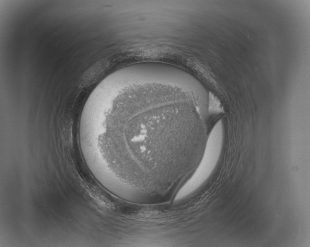 X0000082690685200702161724