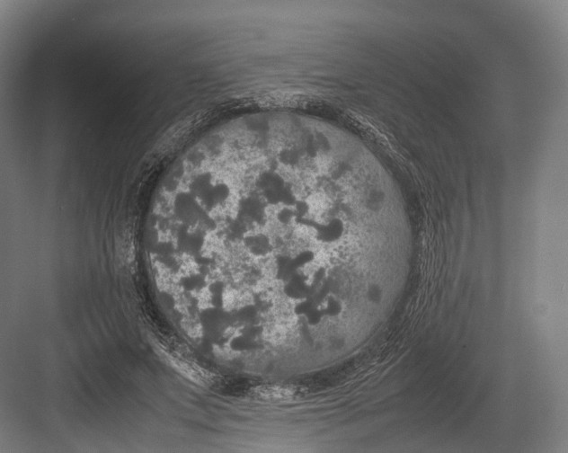 X0000082690687200702161724