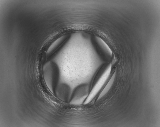 X0000082690688200702161724