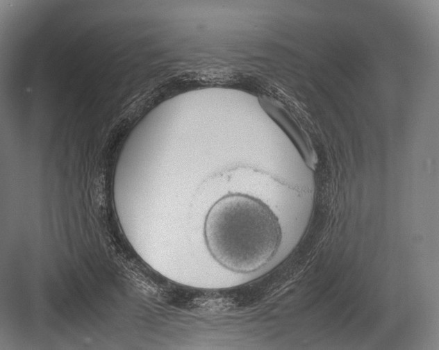 X0000082690689200702161724