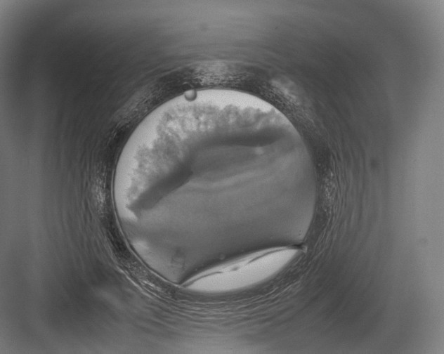 X0000082690691200702161724