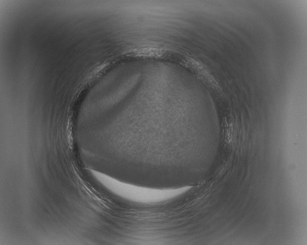 X0000082690692200702161724