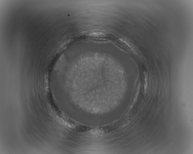 X0000082690696200702161724