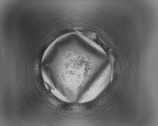 X0000082690697200702161724