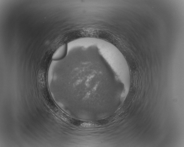 X0000082690699200702161724