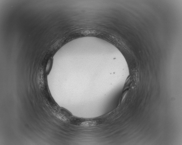 X0000082690700200702161724