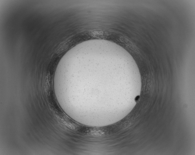 X0000082690702200702161724