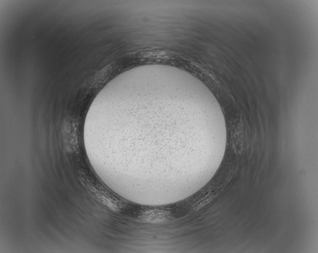 X0000082690708200702161724